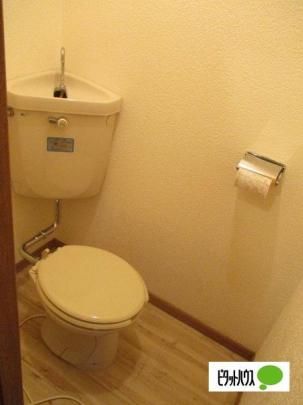 �y���̑��z�@�g�C��