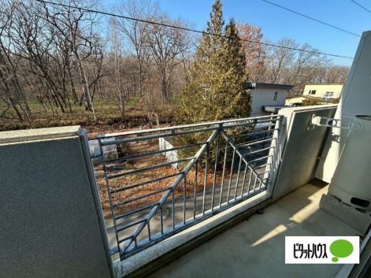 �y���̑��z�@�o���R�j�[