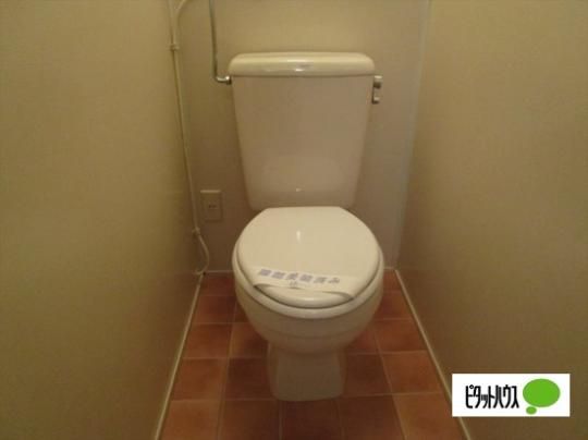 �y���̑��z�@�g�C��