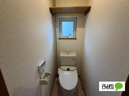 �y���̑��z�@�g�C��