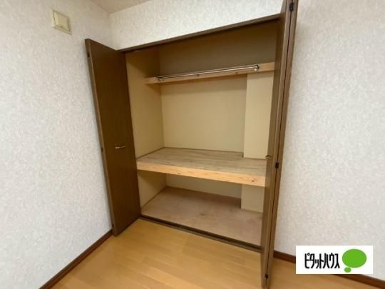 �y���̑��z�@���[