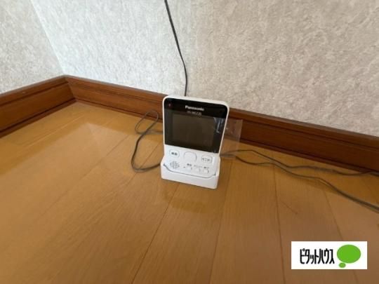 �y���̑��z�@�Z�L�����e�B