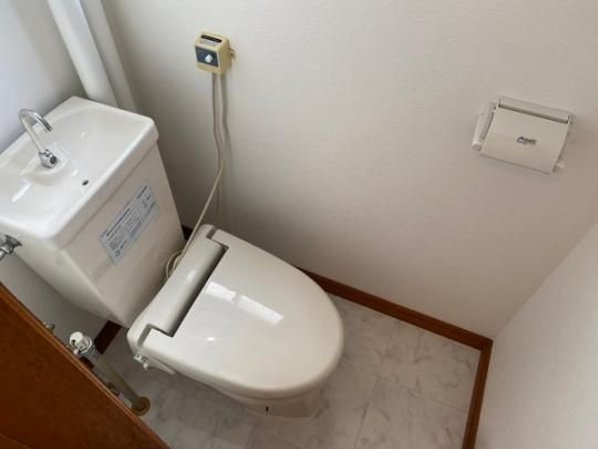 �y���̑��z�@�g�C��