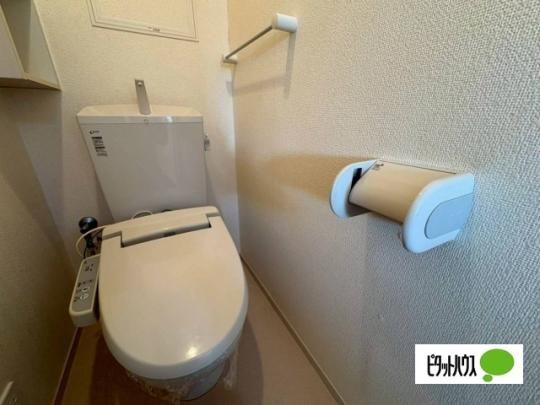 �y���̑��z�@�g�C��