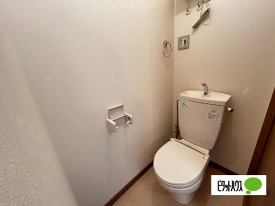 �y���̑��z�@�g�C��