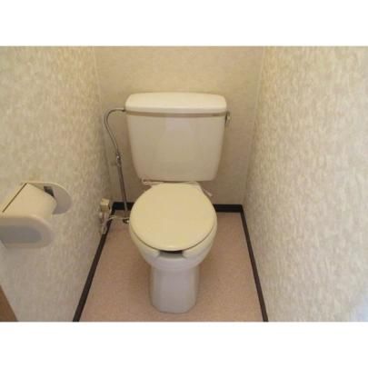 �y���̑��z�@�g�C��