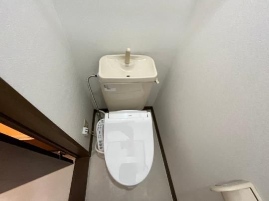 �y���̑��z�@�g�C��