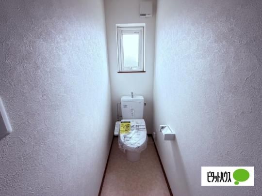 �y���̑��z�@�g�C��