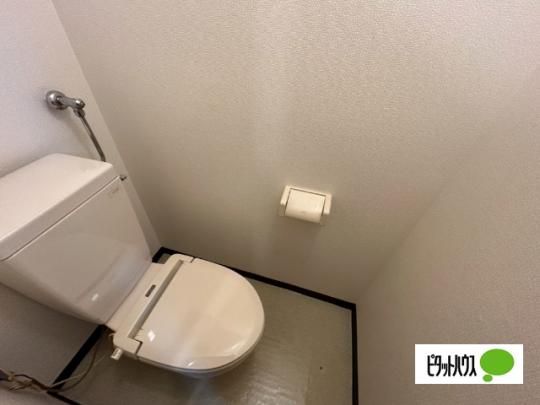 �y���̑��z�@�g�C��