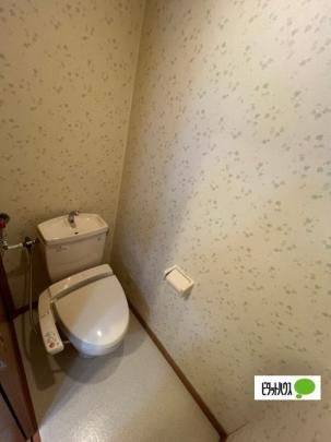 �y���̑��z�@�g�C��
