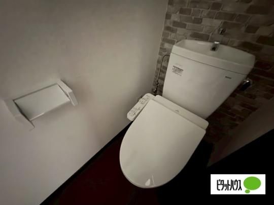 �y���̑��z�@�g�C��