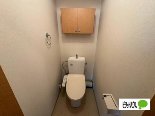�y���̑��z�@�g�C��