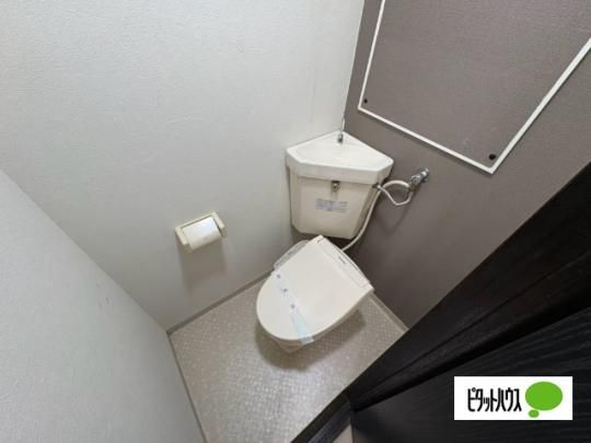 �y���̑��z�@�g�C��