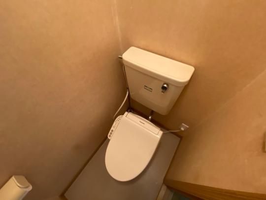 �y���̑��z�@�g�C��