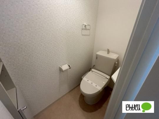 �y���̑��z�@�g�C��