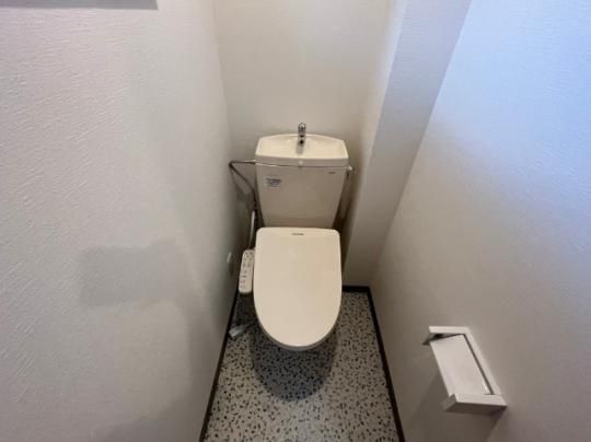 �y���̑��z�@�g�C��