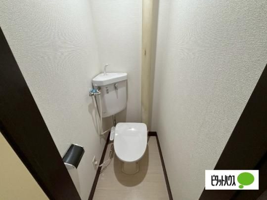 �y���̑��z�@�g�C��