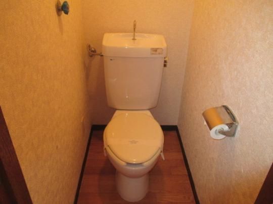 �y���̑��z�@�g�C��