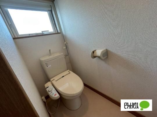 �y���̑��z�@�g�C��