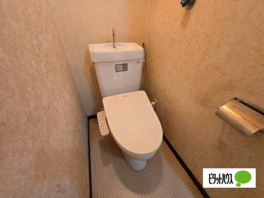 �y���̑��z�@�g�C��