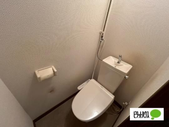�y���̑��z�@�g�C��