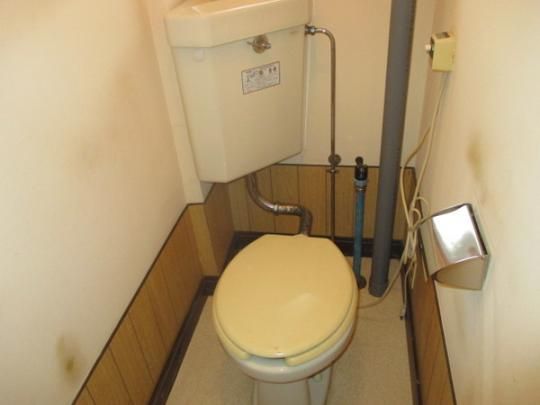 �y���̑��z�@�g�C��