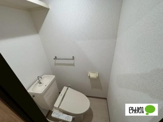 �y���̑��z�@�g�C��