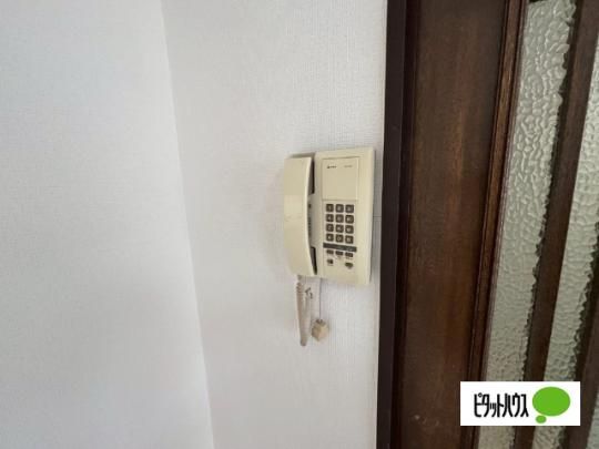 �y���̑��z�@�Z�L�����e�B