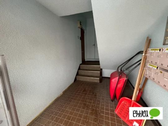 �y�����O�ρz�@���r�[
