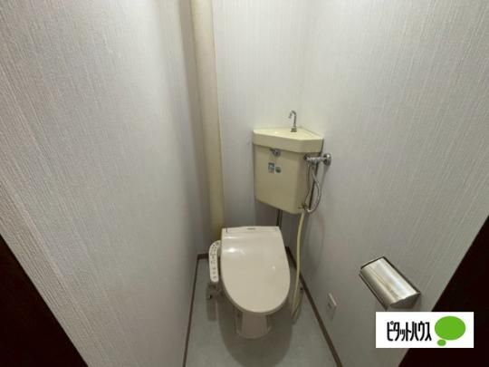 �y���̑��z�@�g�C��