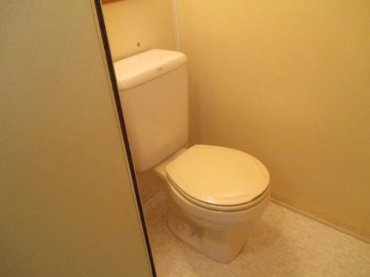 �y���̑��z�@�g�C��
