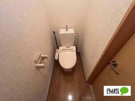 �y���̑��z�@�g�C��