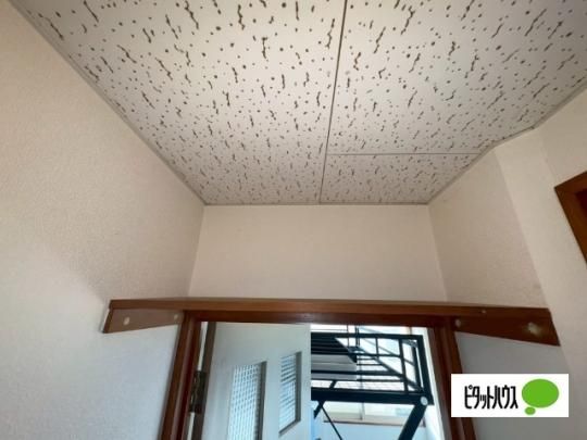 �y���̑��z�@���[