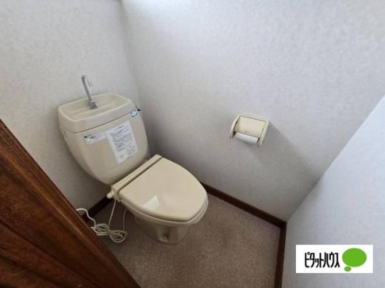 �y���̑��z�@�g�C��