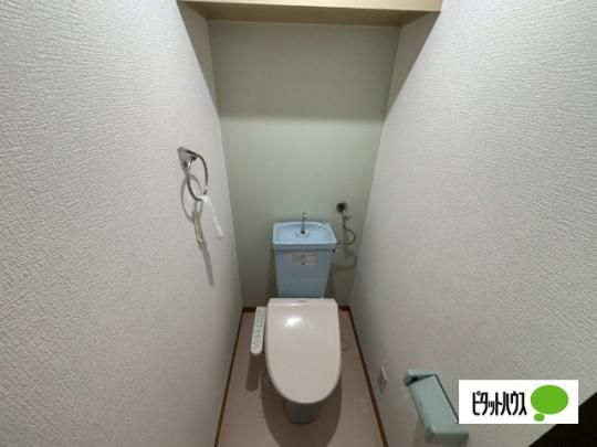 �y���̑��z�@�g�C��