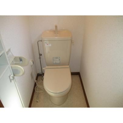 �y���̑��z�@�g�C��