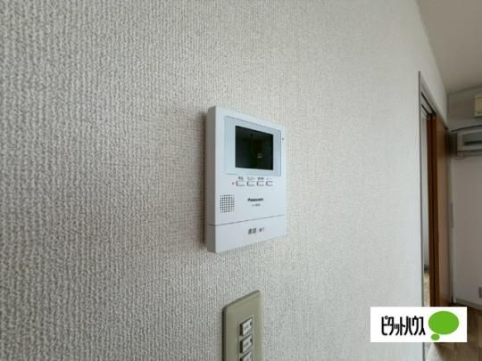 �y���̑��z�@�Z�L�����e�B