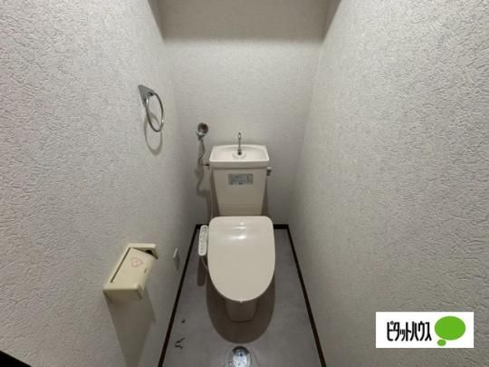 �y���̑��z�@�g�C��