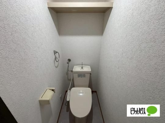 �y���̑��z�@�g�C��