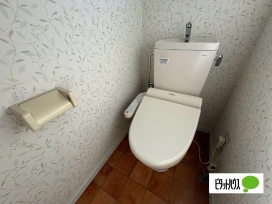 �y���̑��z�@�g�C��
