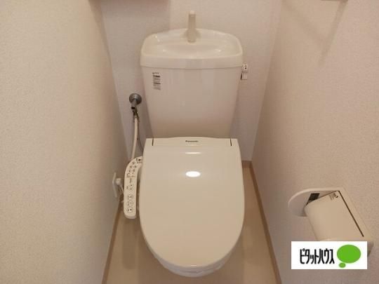 �y���̑��z�@�g�C��