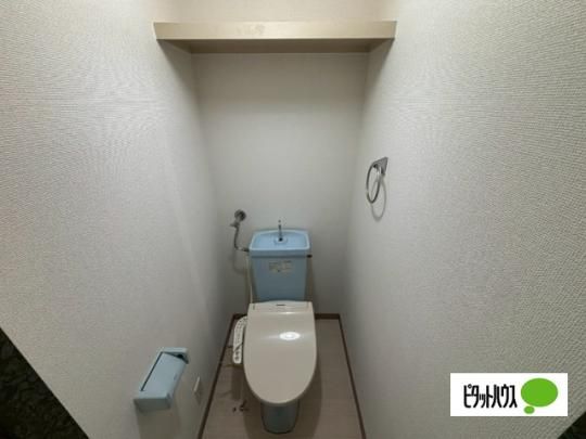 �y���̑��z�@�g�C��