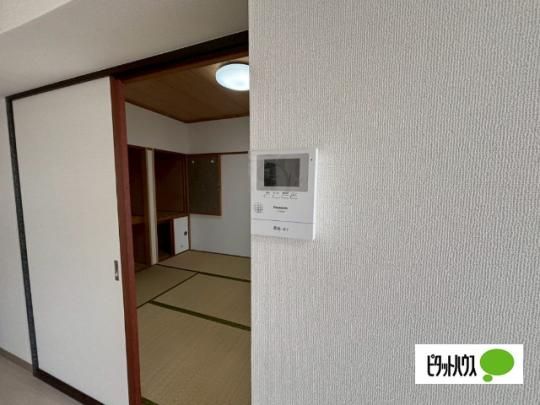 �y���̑��z�@�Z�L�����e�B