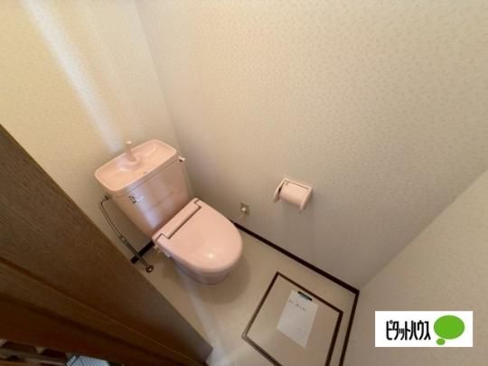 �y���̑��z�@�g�C��