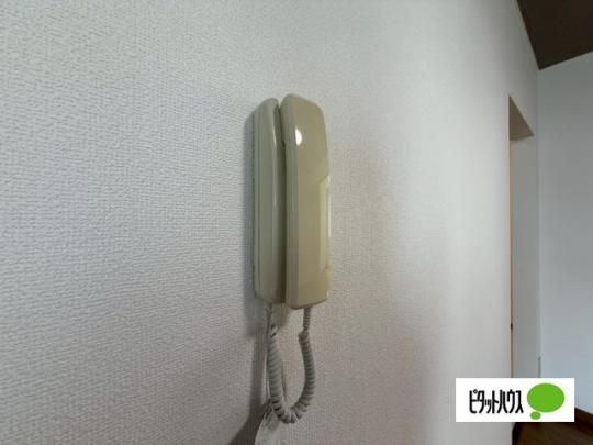 �y���̑��z�@�Z�L�����e�B