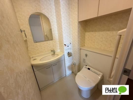 �y���̑��z�@�g�C��