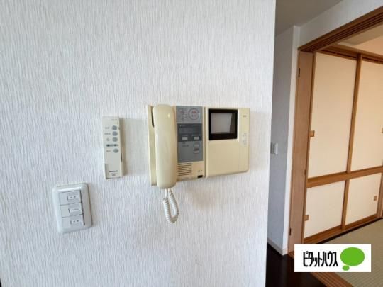 �y���̑��z�@�Z�L�����e�B
