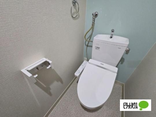 �y���̑��z�@�g�C��