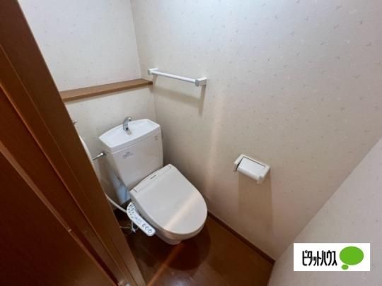 �y���̑��z�@�g�C��