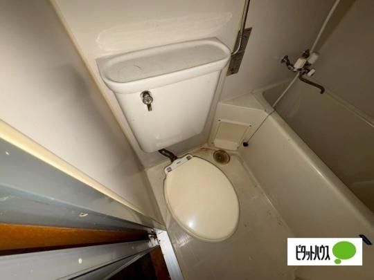 �y���̑��z�@�g�C��